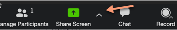 Screenshot of Share Screen controls in the Zoom app